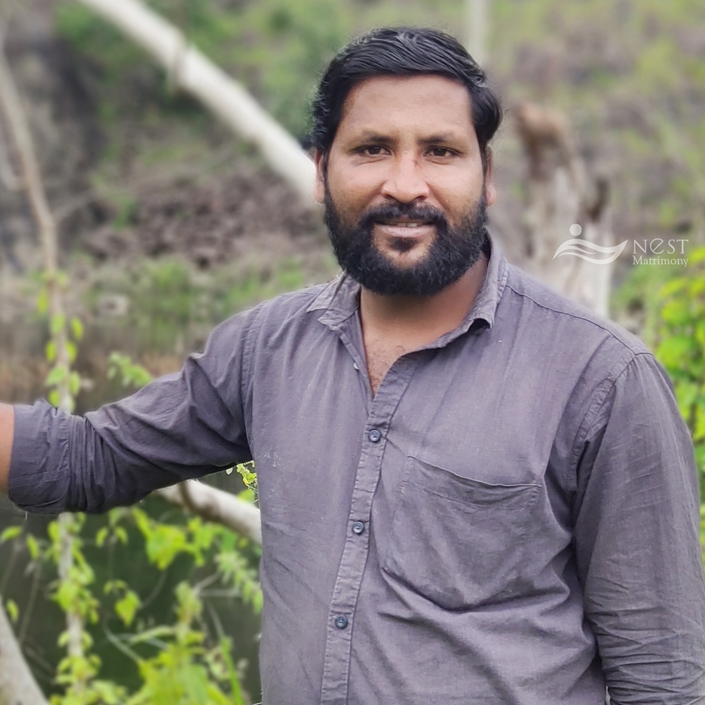 Jijo George